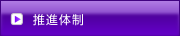 推進体制